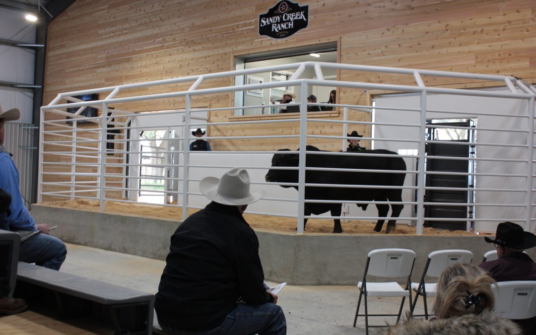 Charanza Contracting completes an unusual ranch project for a private auction barn